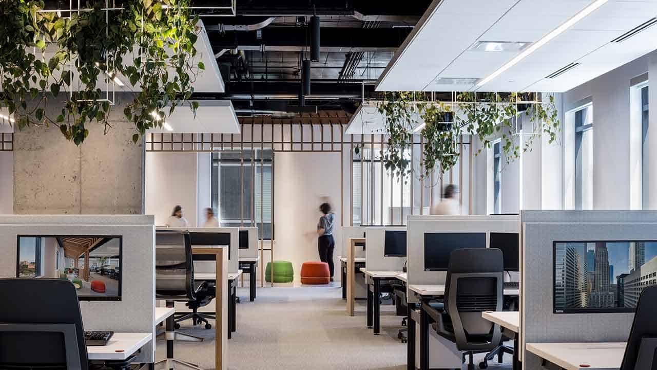 Modern open-plan office with several workstations equipped with computers, indoor plants hanging from the ceiling, and a few people walking and conversing in the background.